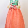 hanbok dress medium aquamarine top and orange skirt