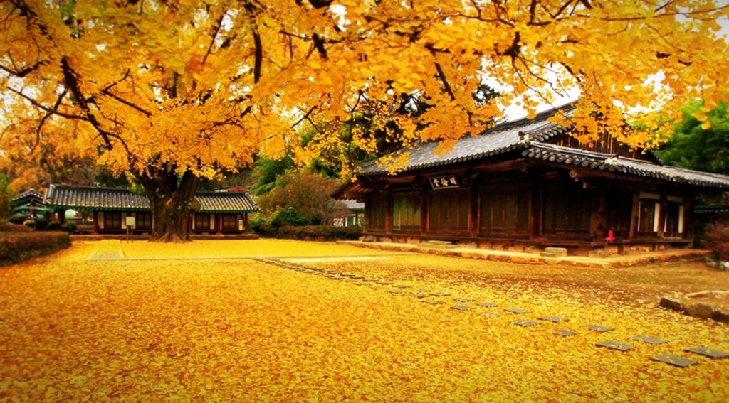 traditional hanbok store, especially for weddings, is the most profitable business segment, as all the work is made to order. A customer comes into a Hanboksarang.