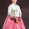 embroidered top and sheer layered skirt hanbok